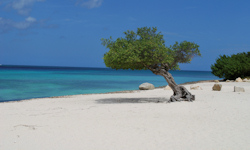 Relax and enjoy the tranquility on Aruba's Eagle beach